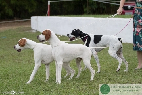 Pointers