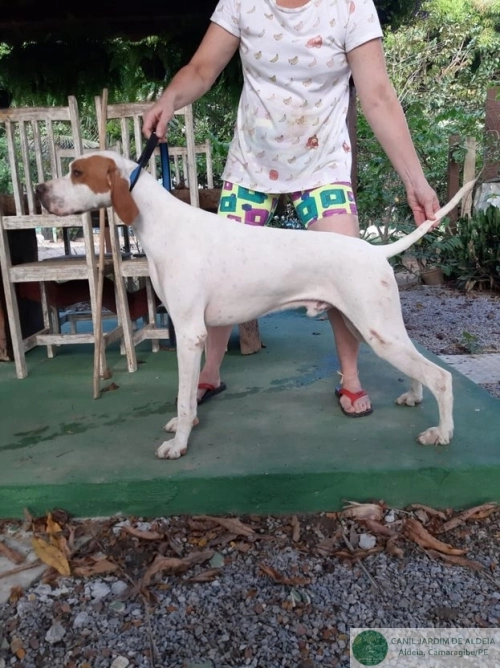 Pointers
